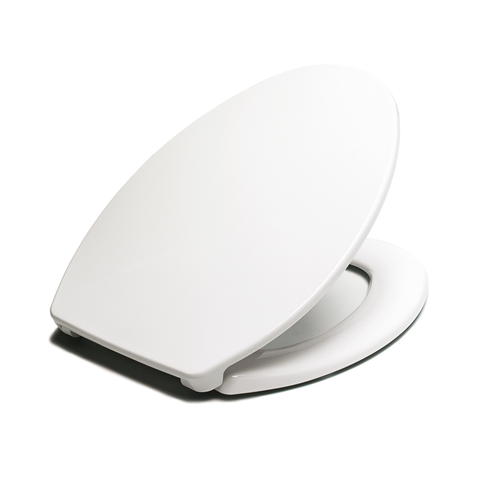 Compatible Sunny Villeroy &amp; Boch Pie Toilet Seat Without Cistern - Ecoline