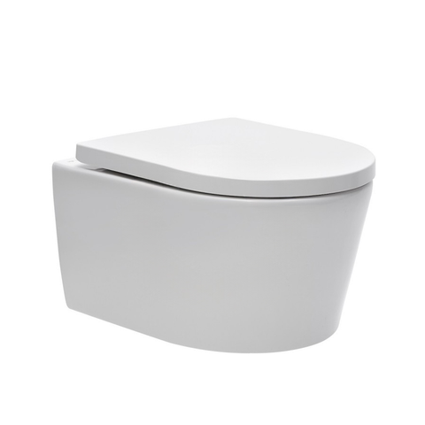 Toilet Seat Compatible Brevis Sat Suspended - Ecoline